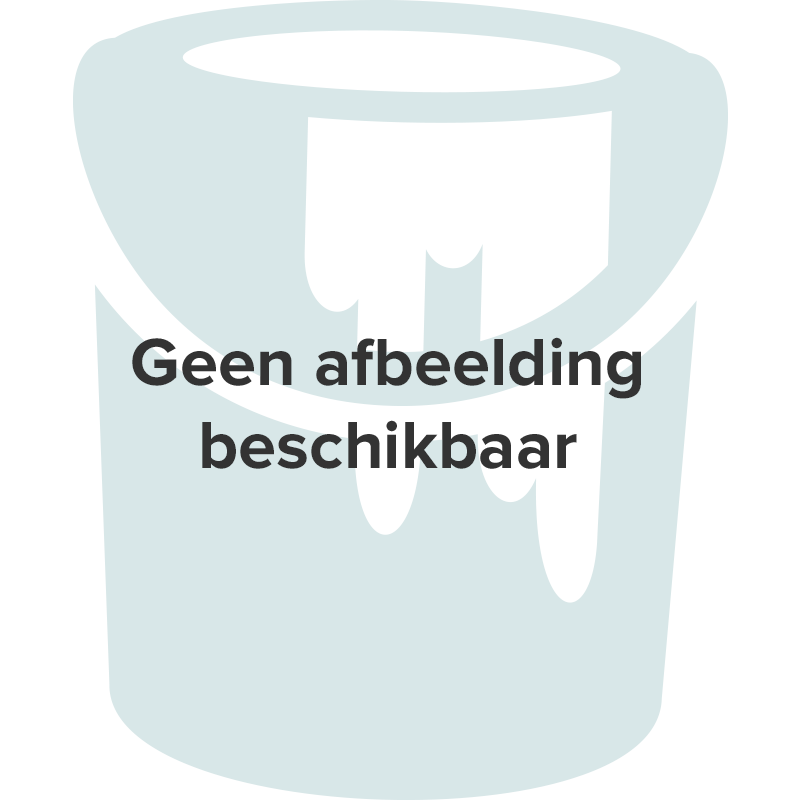 Ordelijk Nieuwe betekenis Verhoogd Alabastine Buitenvoeg Reparatie - 310 ml Zilvergrijs | Verfwinkel.nl